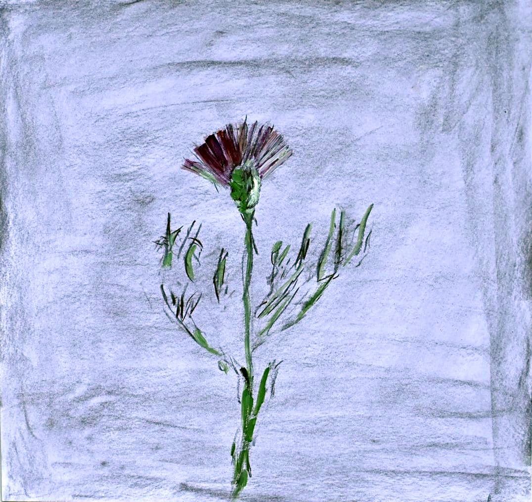 GIFT OF A THISTLE